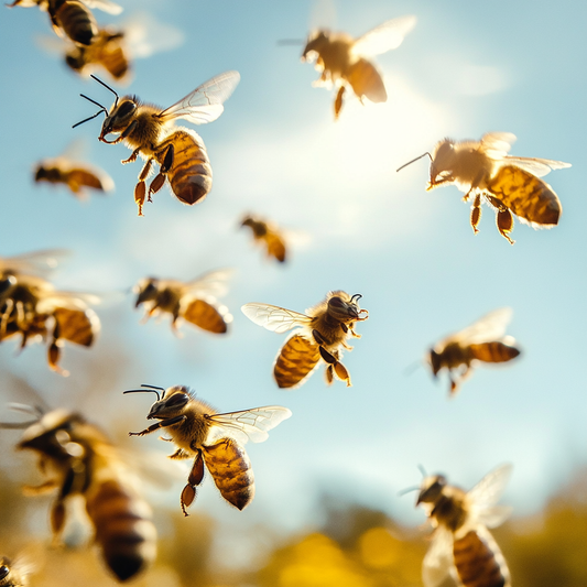 BeardedBeeBoys: Understanding Bee Races: History, Strengths, and Weaknesses