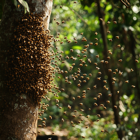 BeardedBeeBoys thought: The Psychology of “Swarm” and the Case for “Colony Expansion”